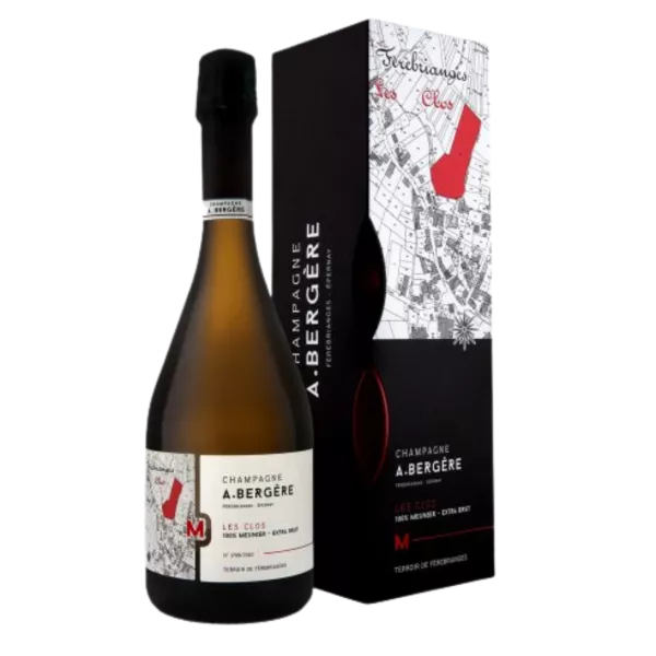 A. BERGERE Les Clos Blanc De Noirs Extra-Brut Millésime 2016