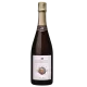 Bouteille de Champagne Poissinet Cuvée Terre d’Irizée Extra-Brut, vue de face