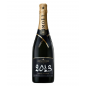 Magnum de Champagne MOET & CHANDON Grand Vintage 2013