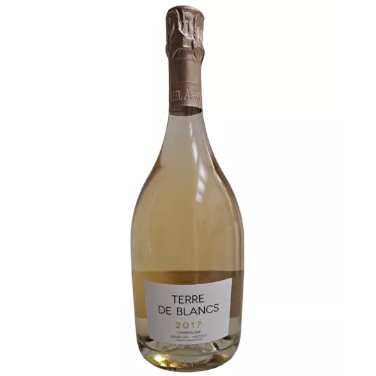 Bouteille de Champagne Michel Arnould Blanc de Blancs Grand Cru Verzenay 2017, vue de face