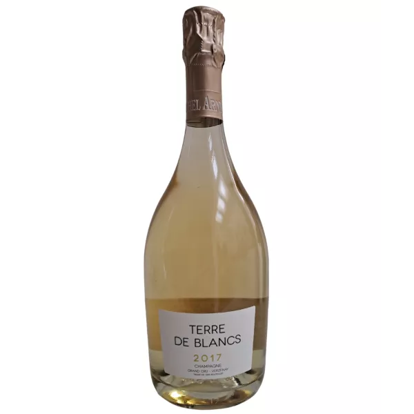 Bouteille de Champagne Michel Arnould Blanc de Blancs Grand Cru Verzenay 2017, vue de face