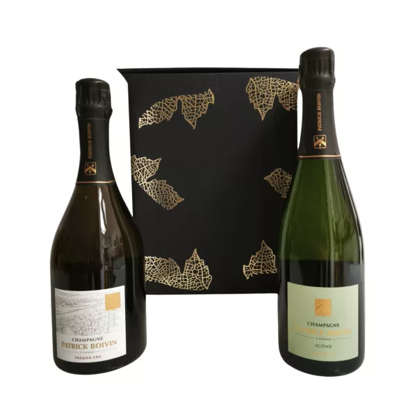 Coffret Champagne Patrick Boivin avec une bouteille de Brut 1er Cru et une bouteille Millésime 2020 Pierry 1er Cru.