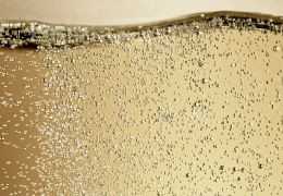 Champagne sans soufre ajouté : comprendre la vinification au naturel
