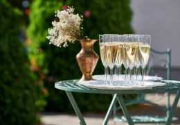 Champagnes Bio et Nature : Les pépites et tendances de 2026