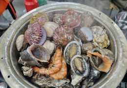 L'élégance iodée : comment choisir ses champagnes pour les entrées de la mer