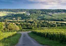 Combien de marque de champagne en france ?