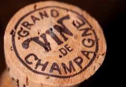 Champagne de vigneron et grande maison : quelles sont les vraies différences ?