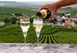 Différence entre Champagne Brut et Demi-Sec : Guide Exhaustif pour les Amateurs de Bulles