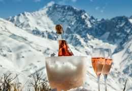 Quand mettre le champagne au frigo ?