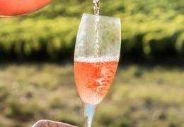 4 raisons pour lesquelles le champagne rosé devrait être votre bulle de choix