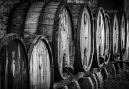 La vinification sous bois en Champagne : Guide complet du fût de chêne